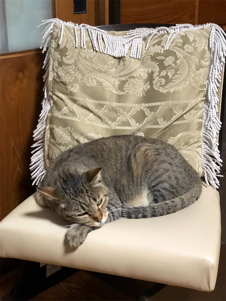 f:id:annesea:20190527185620j:image f:id:annesea:20190527185620j:image