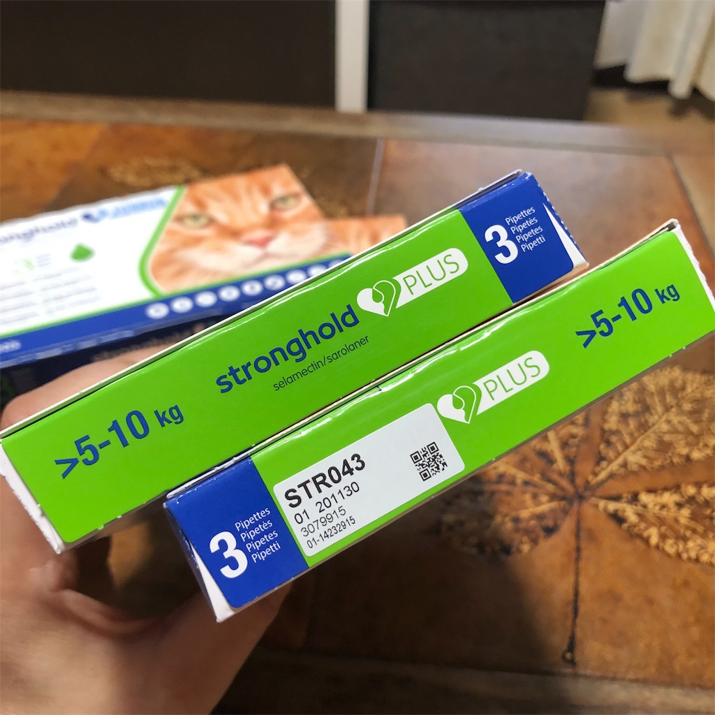 f:id:annesea:20190528190253j:image