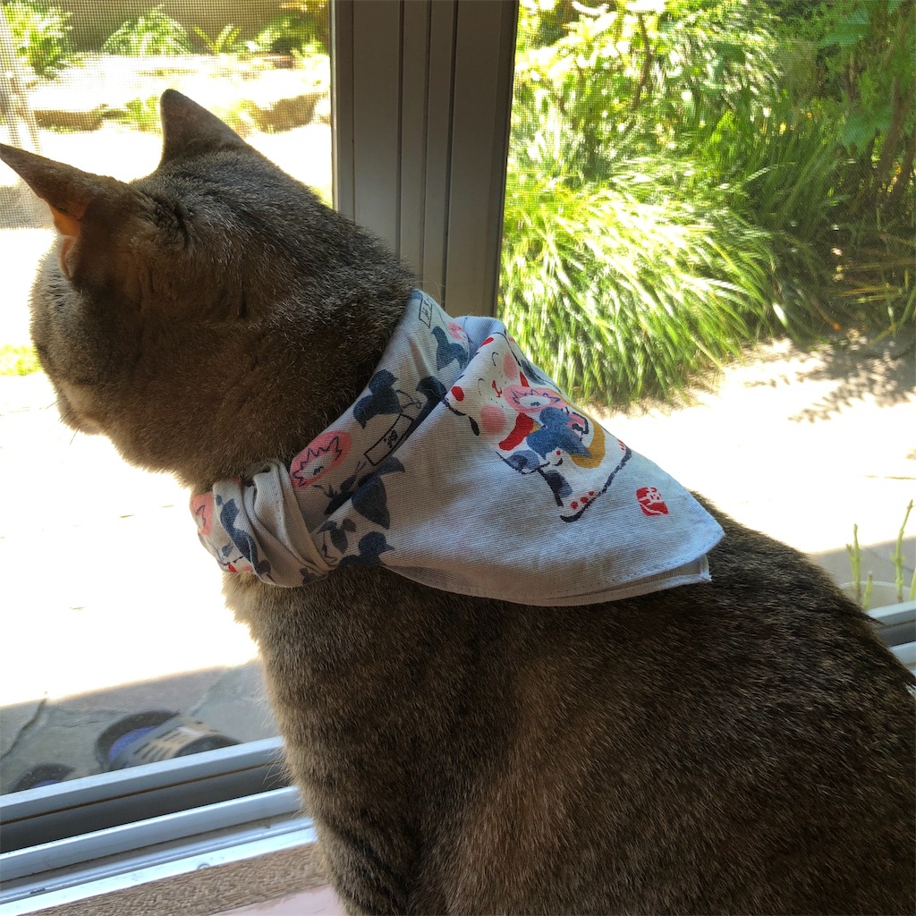f:id:annesea:20190528190405j:image