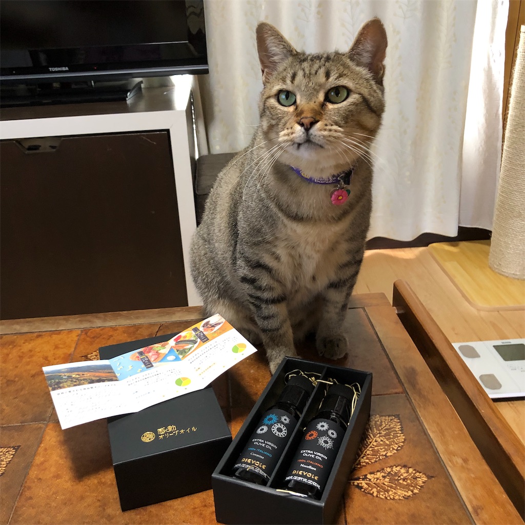 f:id:annesea:20190531125536j:image
