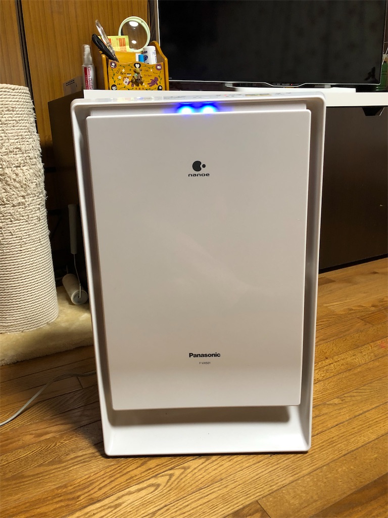 f:id:annesea:20190531220337j:image