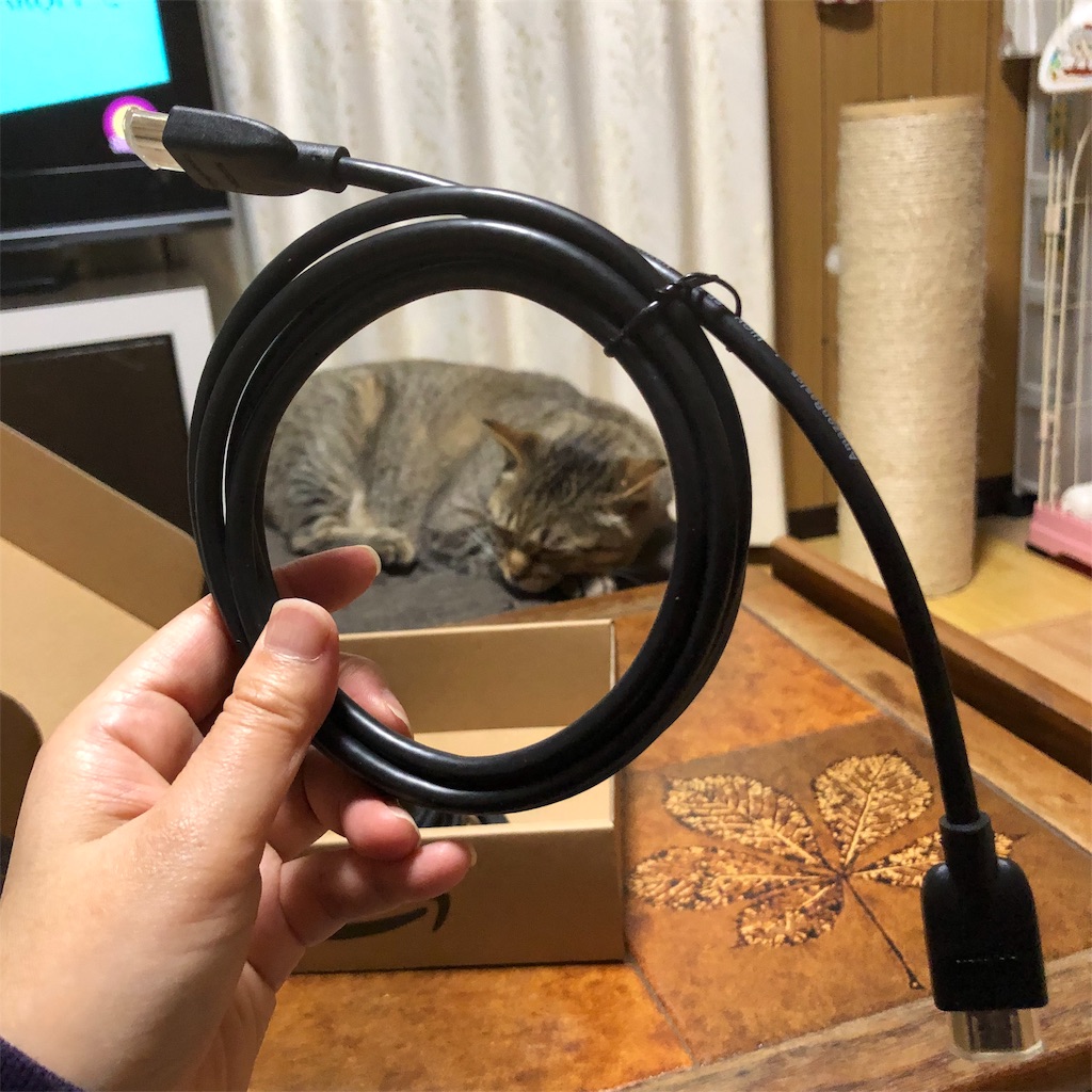 f:id:annesea:20190602223852j:image