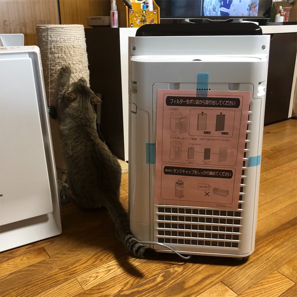 f:id:annesea:20190603112706j:image