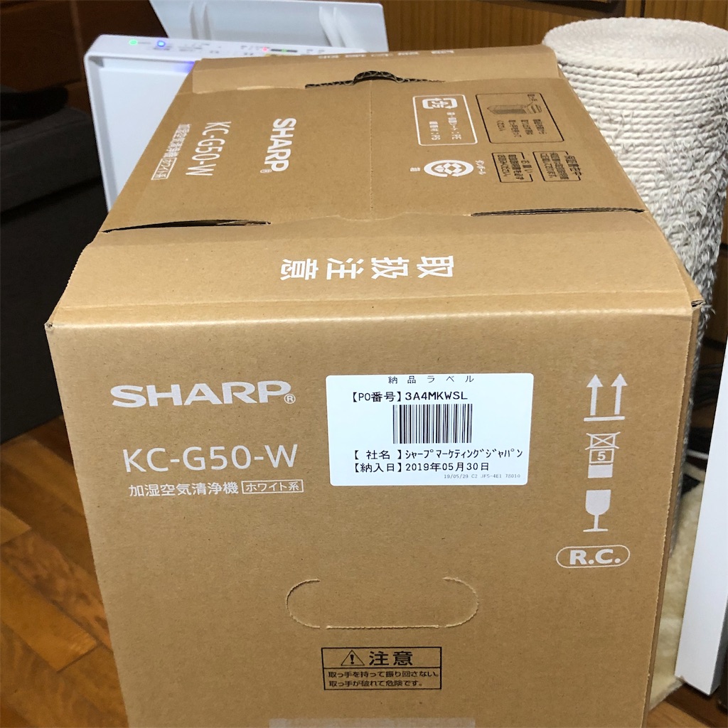f:id:annesea:20190603112713j:image