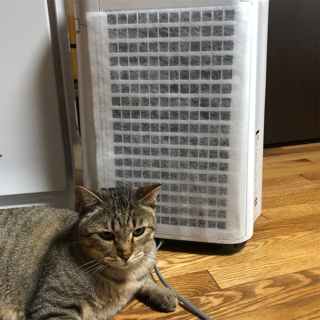 f:id:annesea:20190603112721j:image