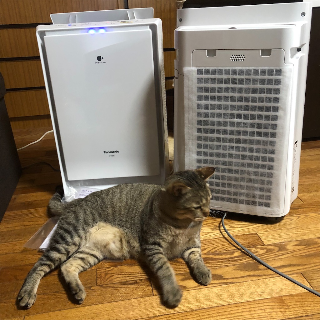 f:id:annesea:20190603112743j:image