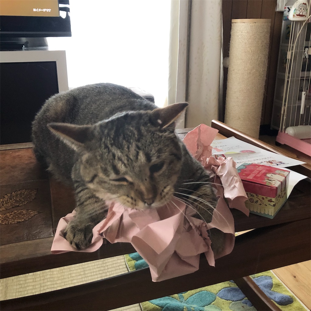 f:id:annesea:20190608142133j:image
