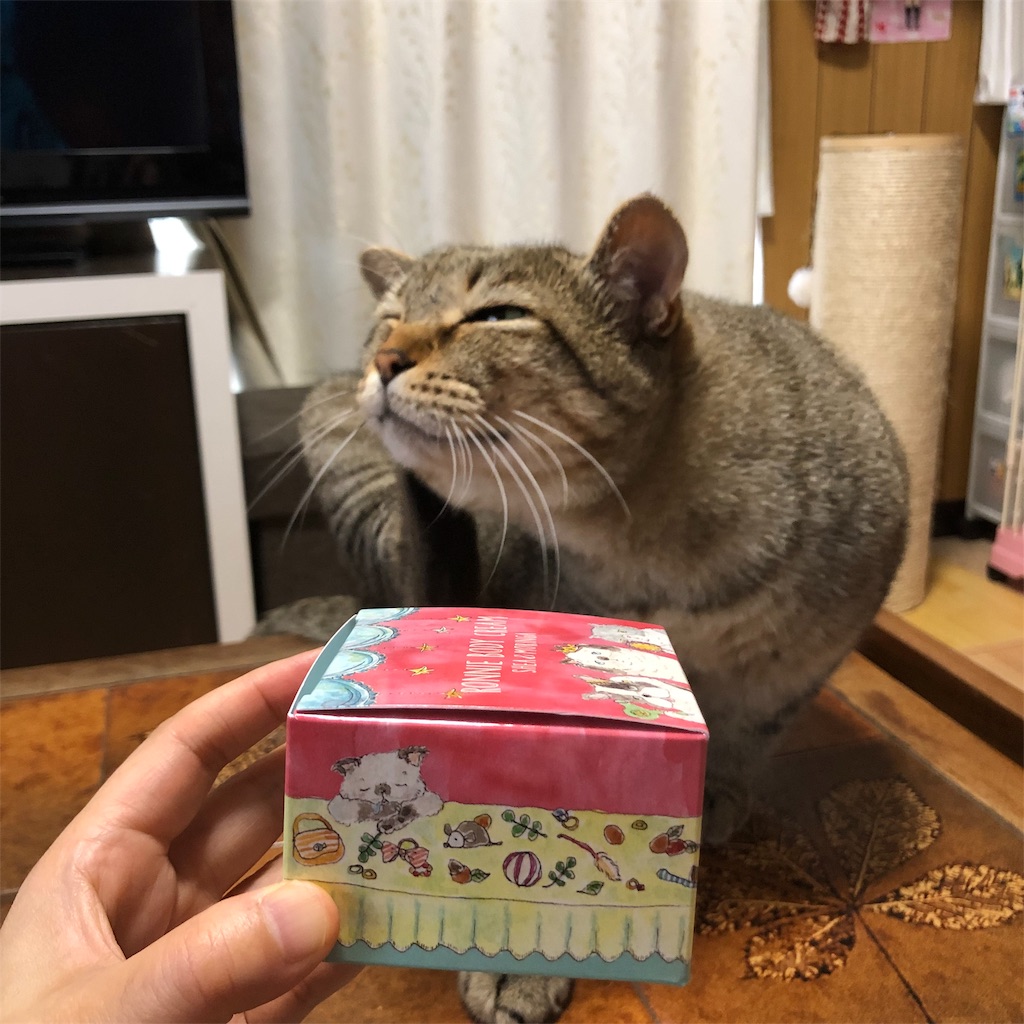 f:id:annesea:20190608142139j:image
