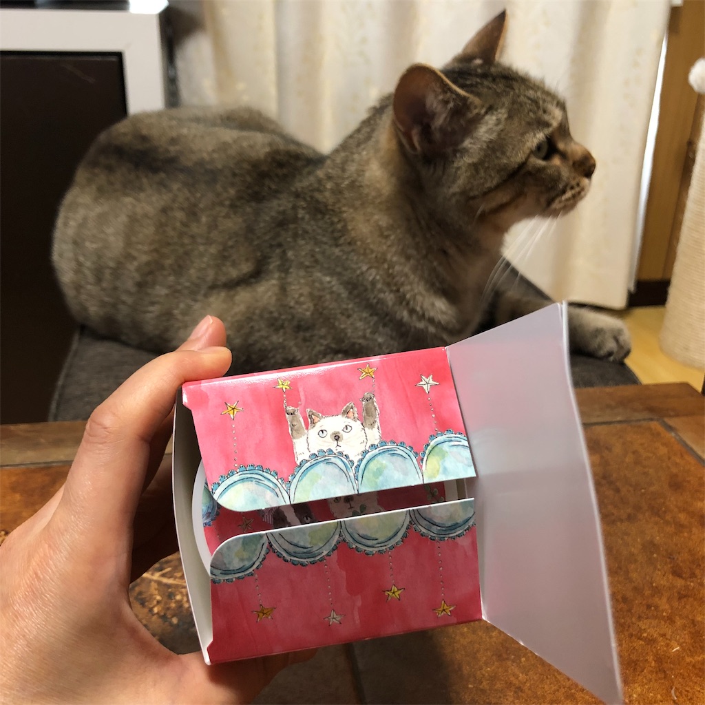 f:id:annesea:20190608142145j:image