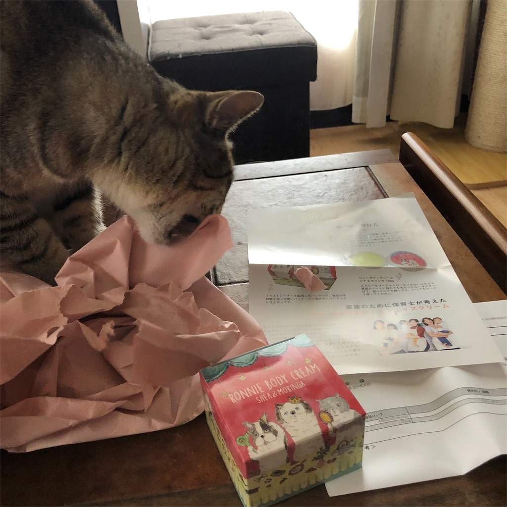 f:id:annesea:20190608142157j:image