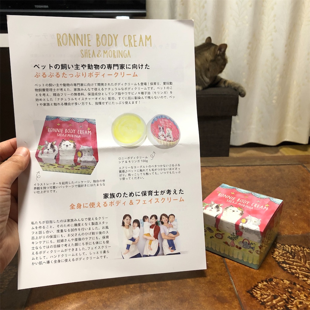 f:id:annesea:20190608142210j:image