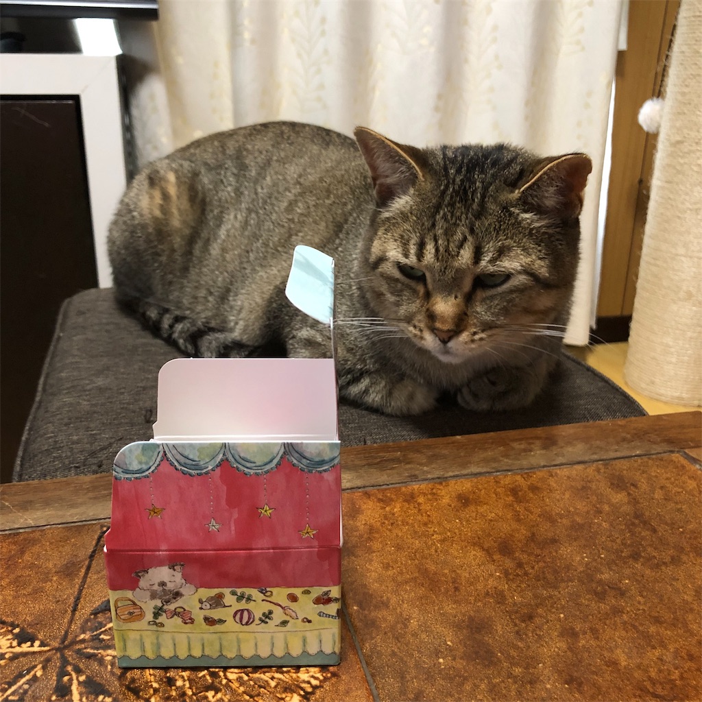 f:id:annesea:20190608142222j:image