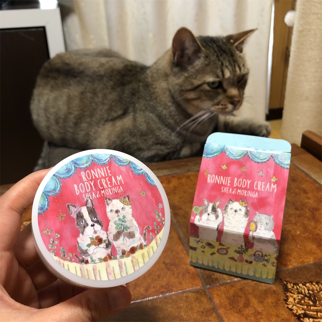 f:id:annesea:20190608142230j:image