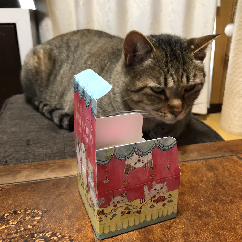 f:id:annesea:20190608142237j:image