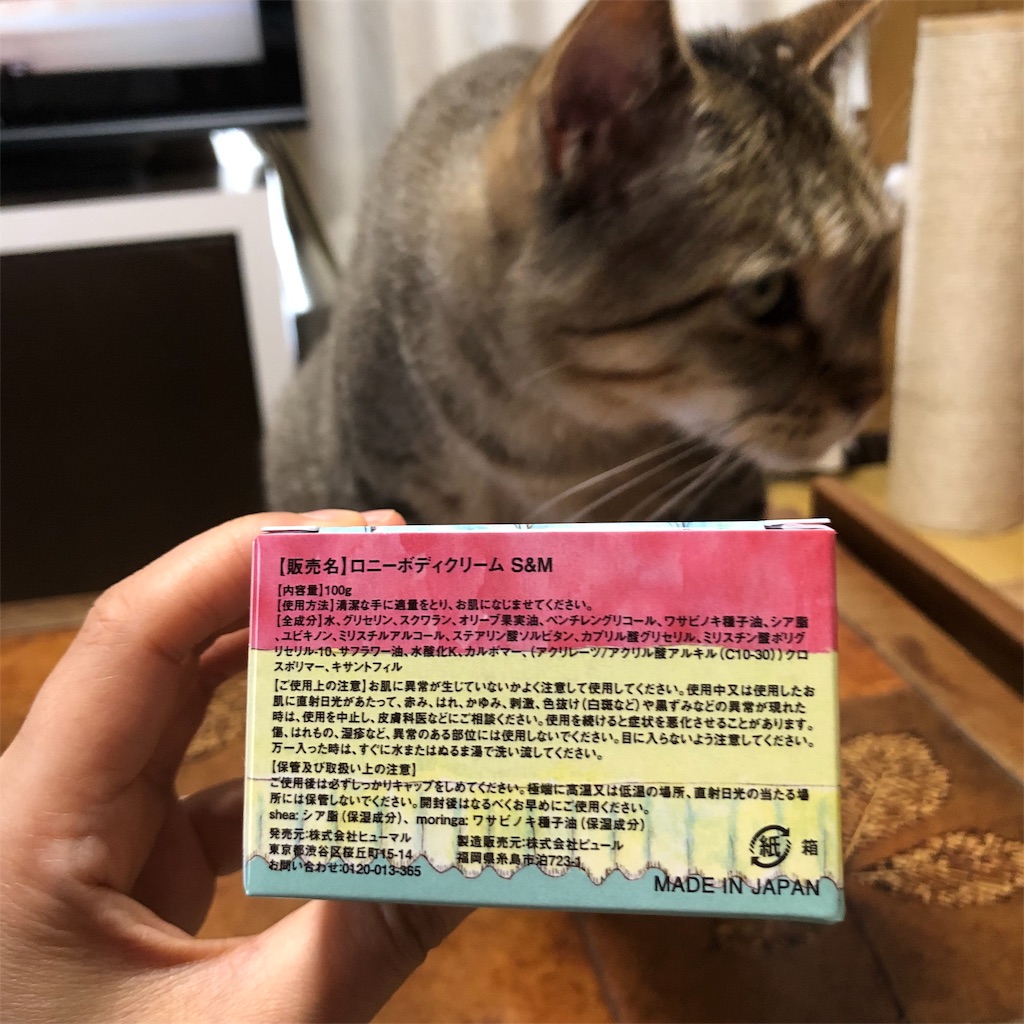 f:id:annesea:20190608142244j:image