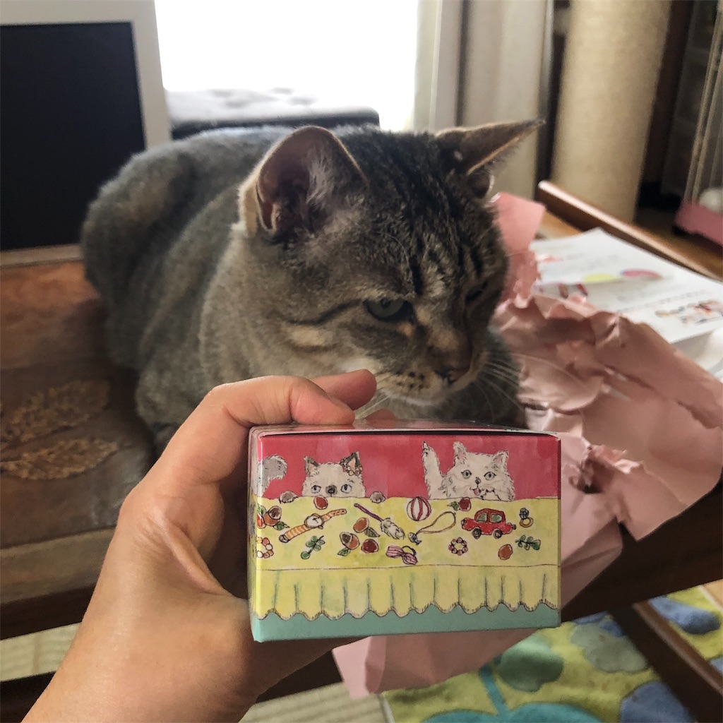 f:id:annesea:20190608142301j:image