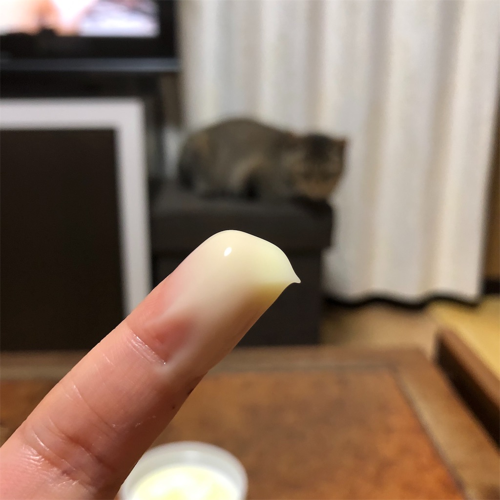 f:id:annesea:20190609133456j:image