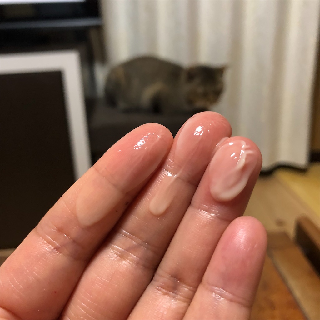 f:id:annesea:20190609133504j:image
