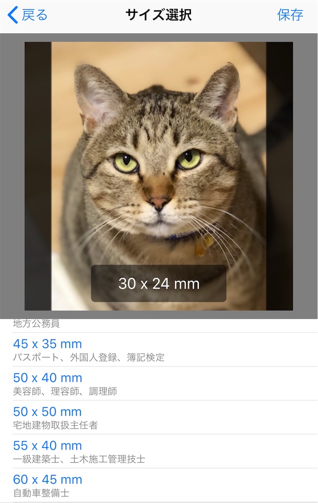 f:id:annesea:20190613113618j:image f:id:annesea:20190613113618j:image