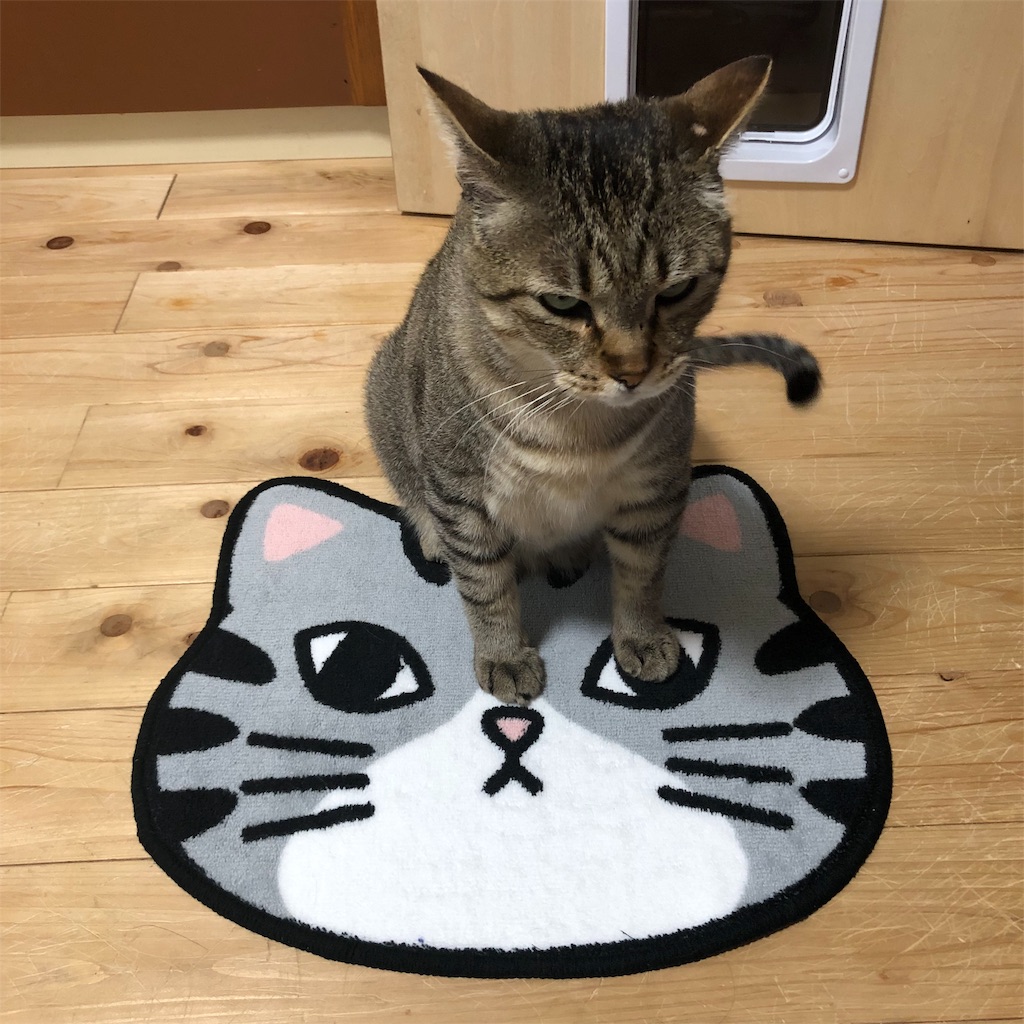 f:id:annesea:20190613113637j:image f:id:annesea:20190613113637j:image