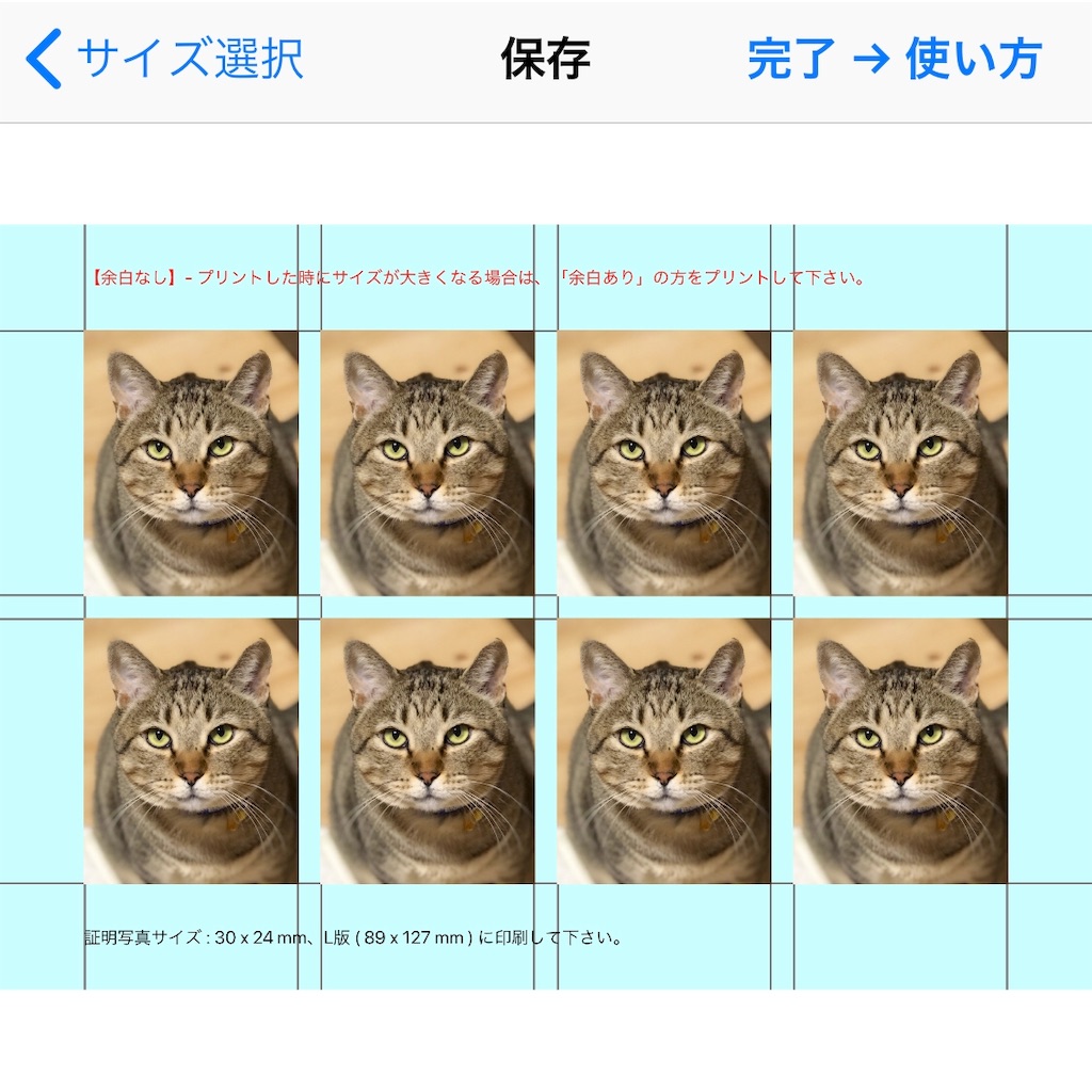 f:id:annesea:20190613113643j:image f:id:annesea:20190613113643j:image