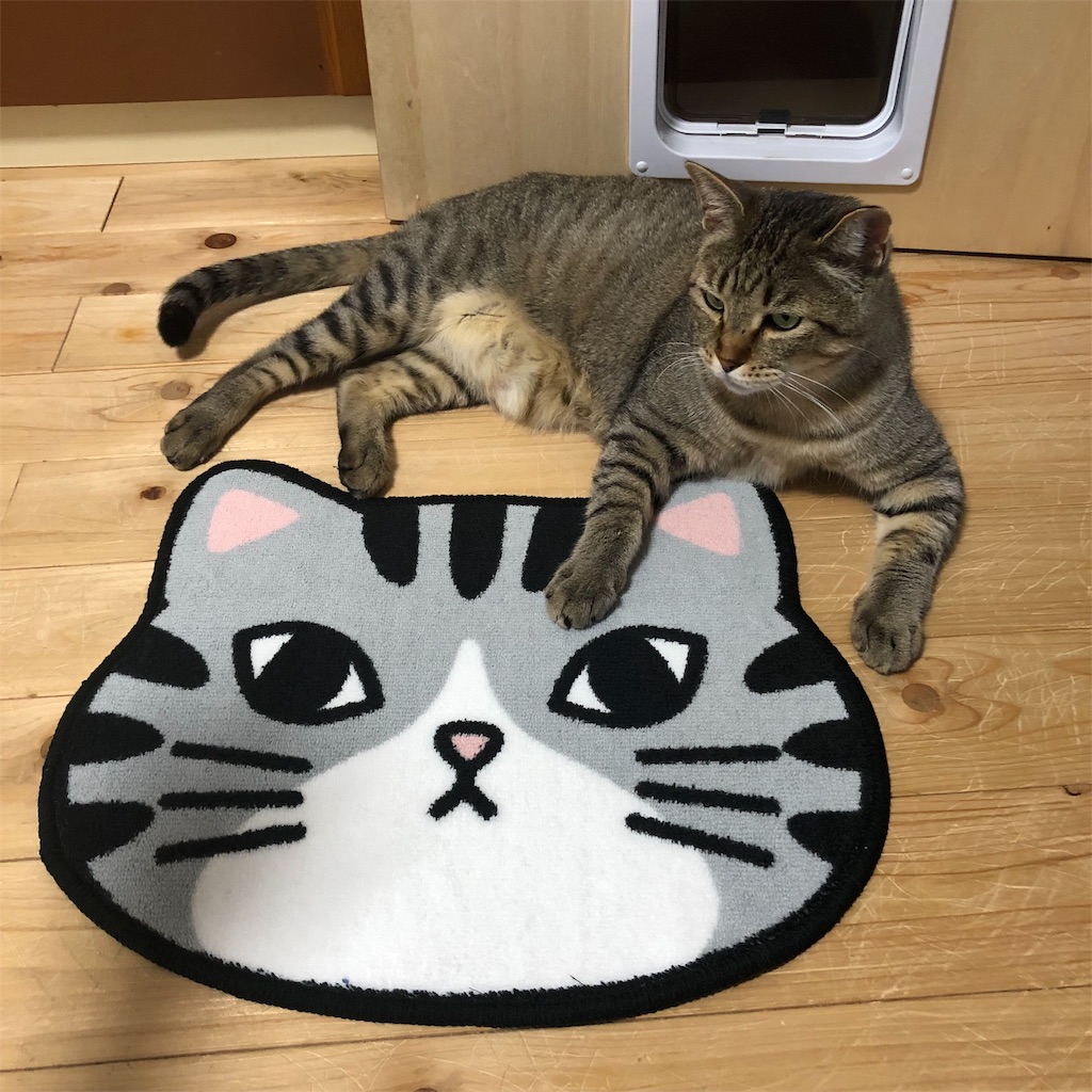f:id:annesea:20190613113705j:image f:id:annesea:20190613113705j:image
