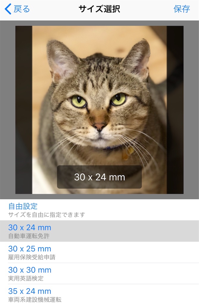 f:id:annesea:20190613113721j:image f:id:annesea:20190613113721j:image