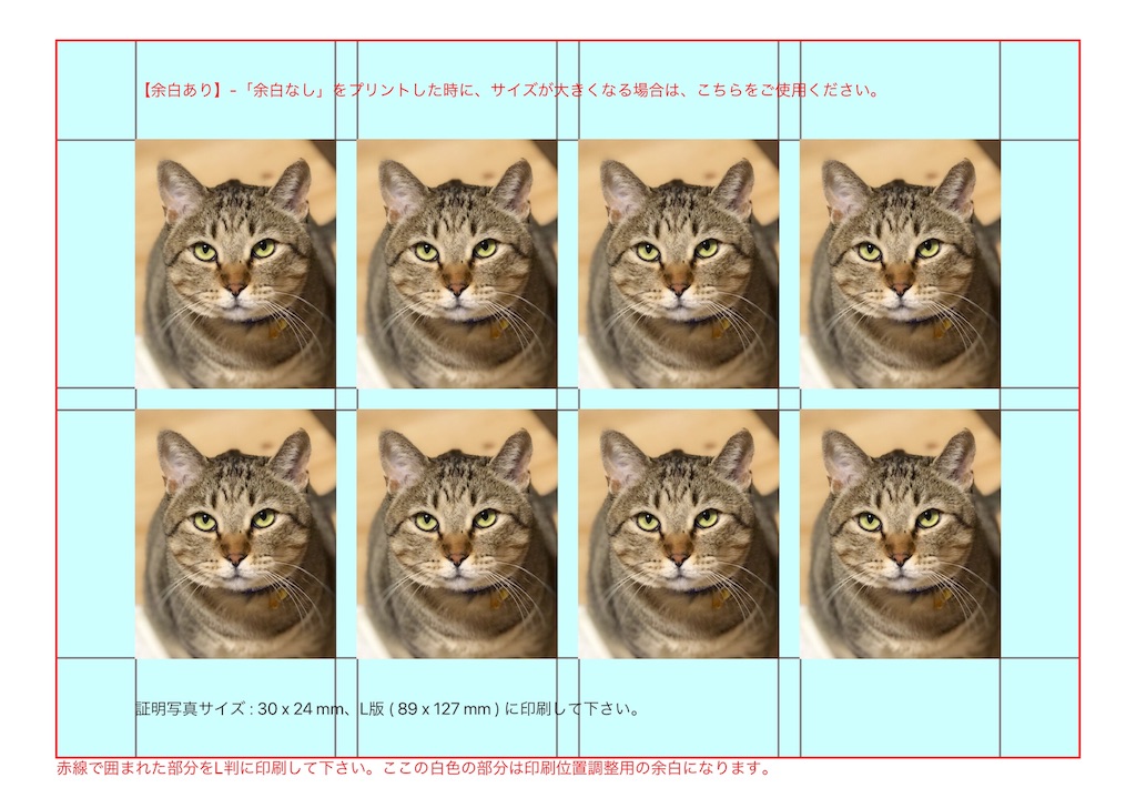 f:id:annesea:20190613113727j:image f:id:annesea:20190613113727j:image