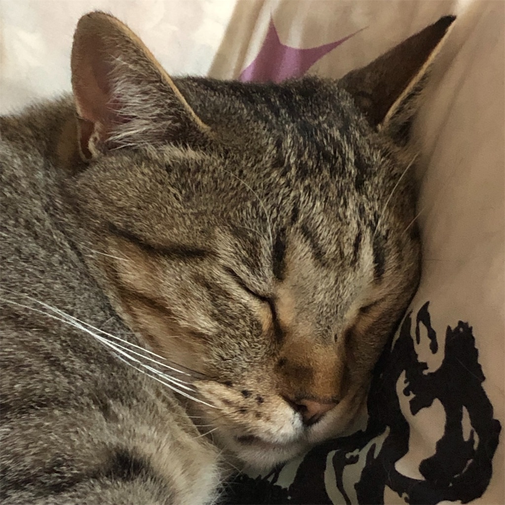 f:id:annesea:20190617215752j:image