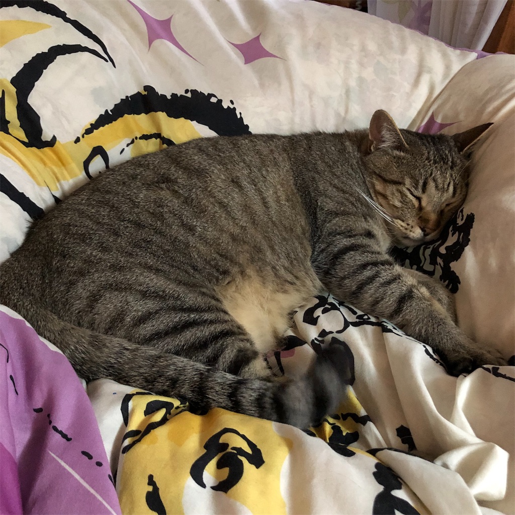 f:id:annesea:20190617215801j:image