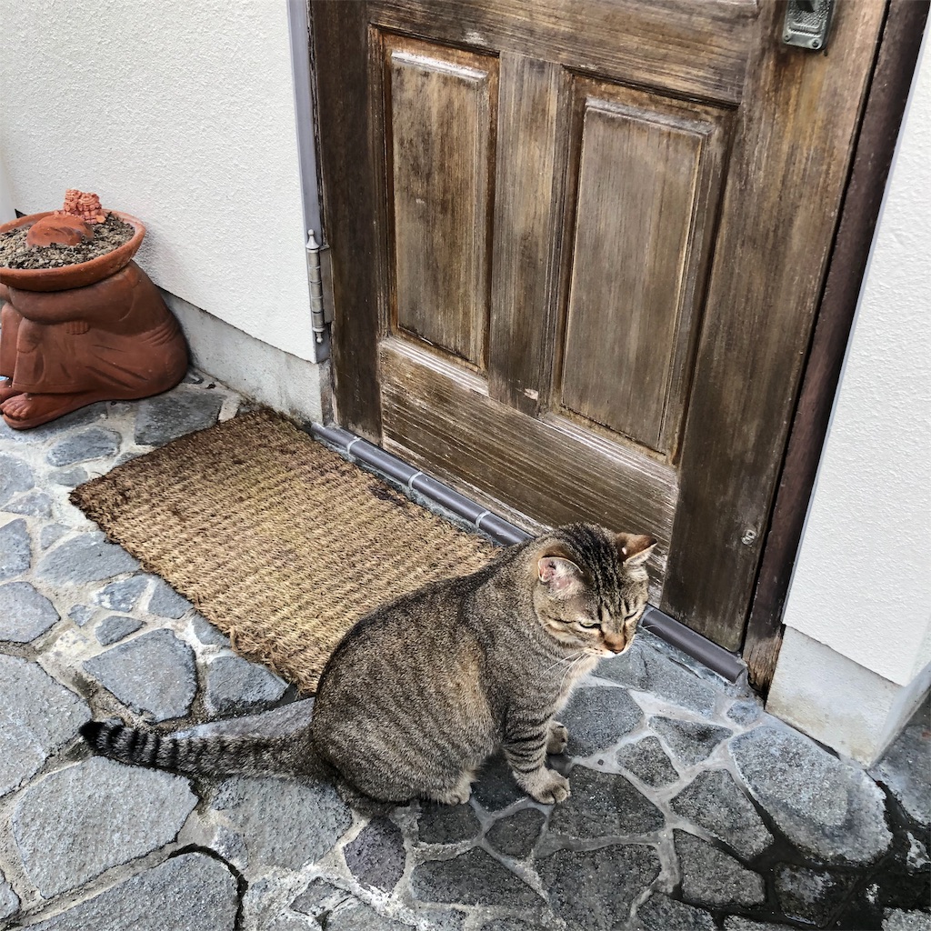 f:id:annesea:20190829112428j:image