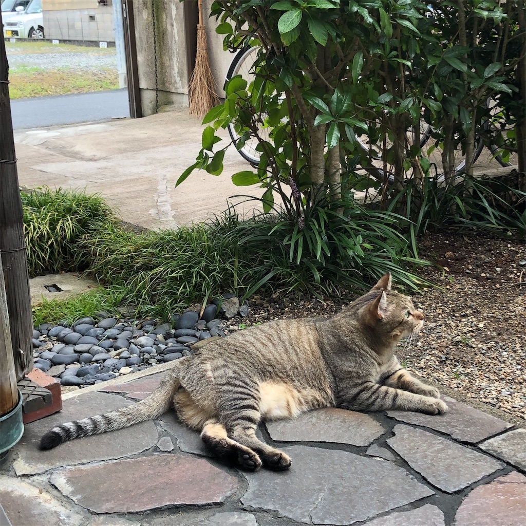 f:id:annesea:20190829112438j:image