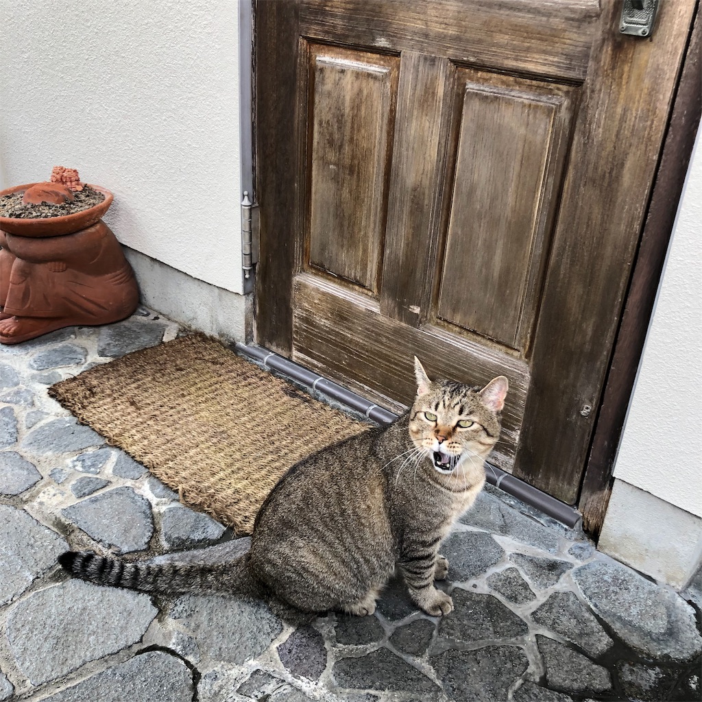 f:id:annesea:20190829112455j:image