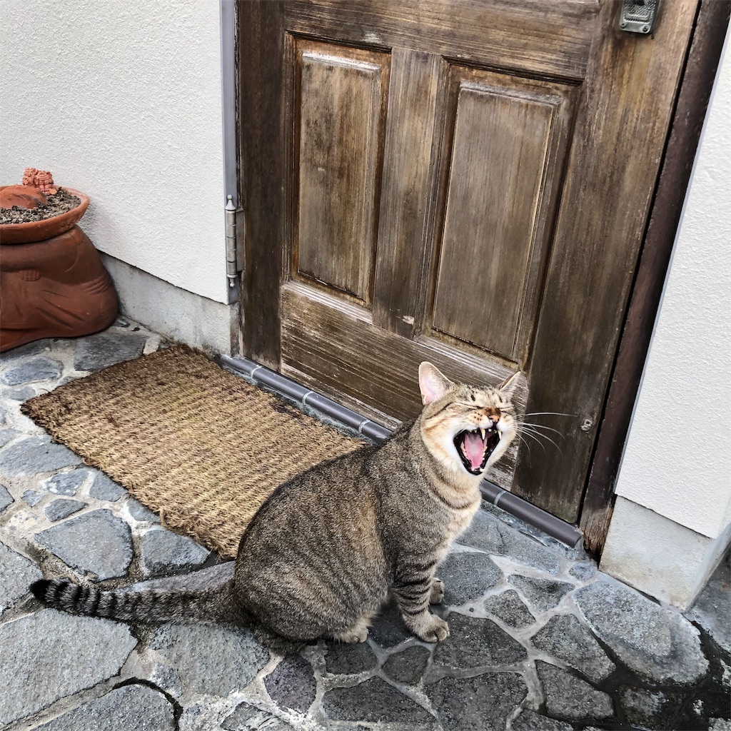 f:id:annesea:20190829112545j:image