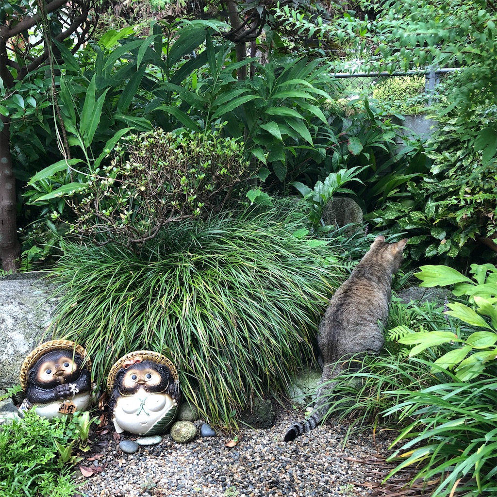 f:id:annesea:20190829112605j:image