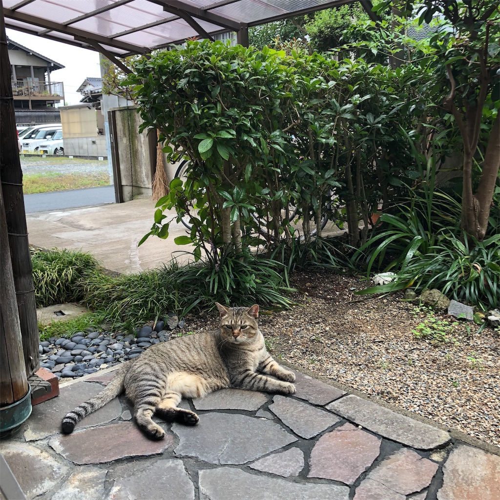 f:id:annesea:20190829112626j:image