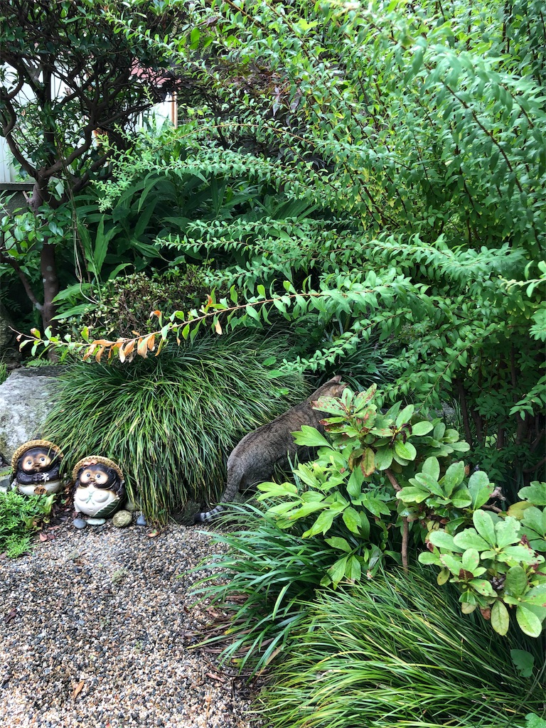 f:id:annesea:20190829112640j:image