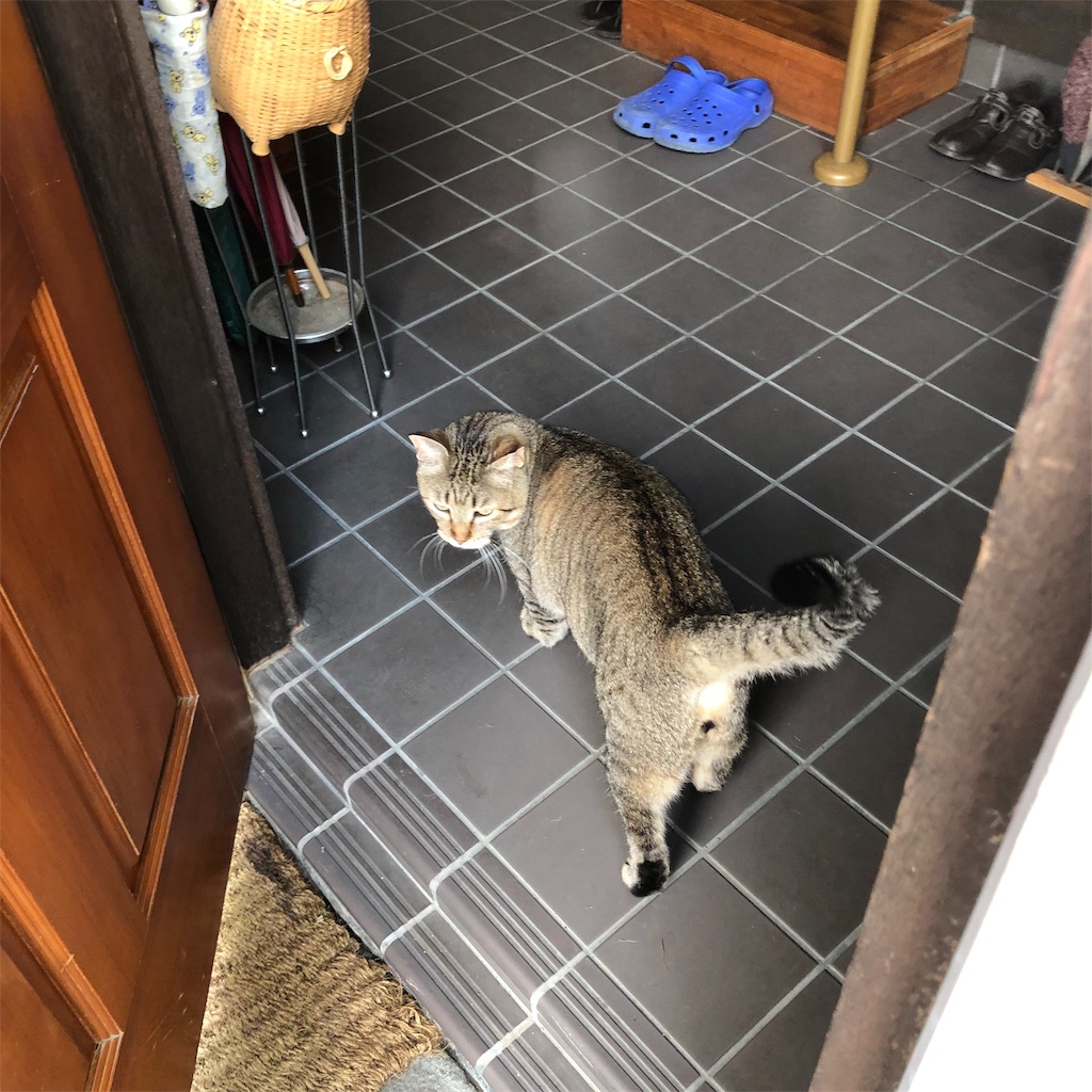 f:id:annesea:20190829112745j:image