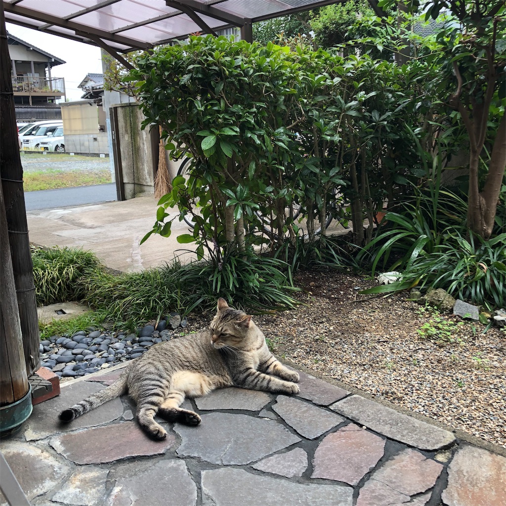 f:id:annesea:20190829112804j:image