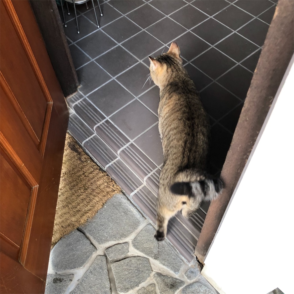 f:id:annesea:20190829112822j:image