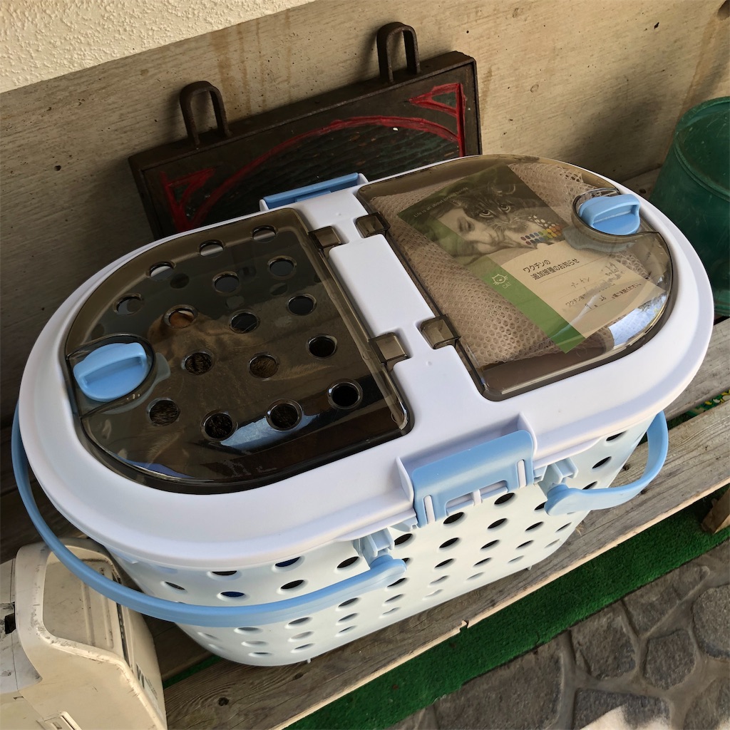 f:id:annesea:20190926225717j:image