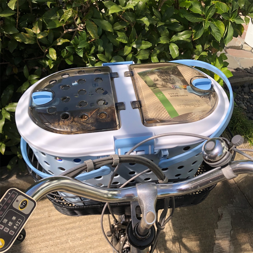 f:id:annesea:20190926225724j:image