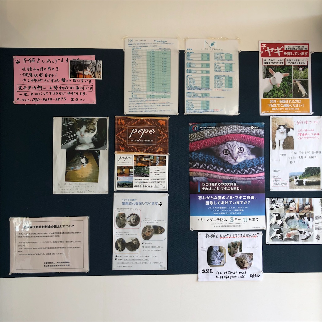 f:id:annesea:20190926225733j:image