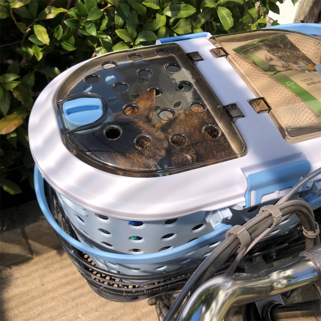 f:id:annesea:20190926225741j:image