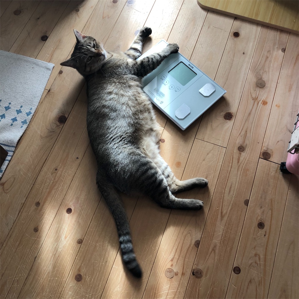 f:id:annesea:20190926225757j:image