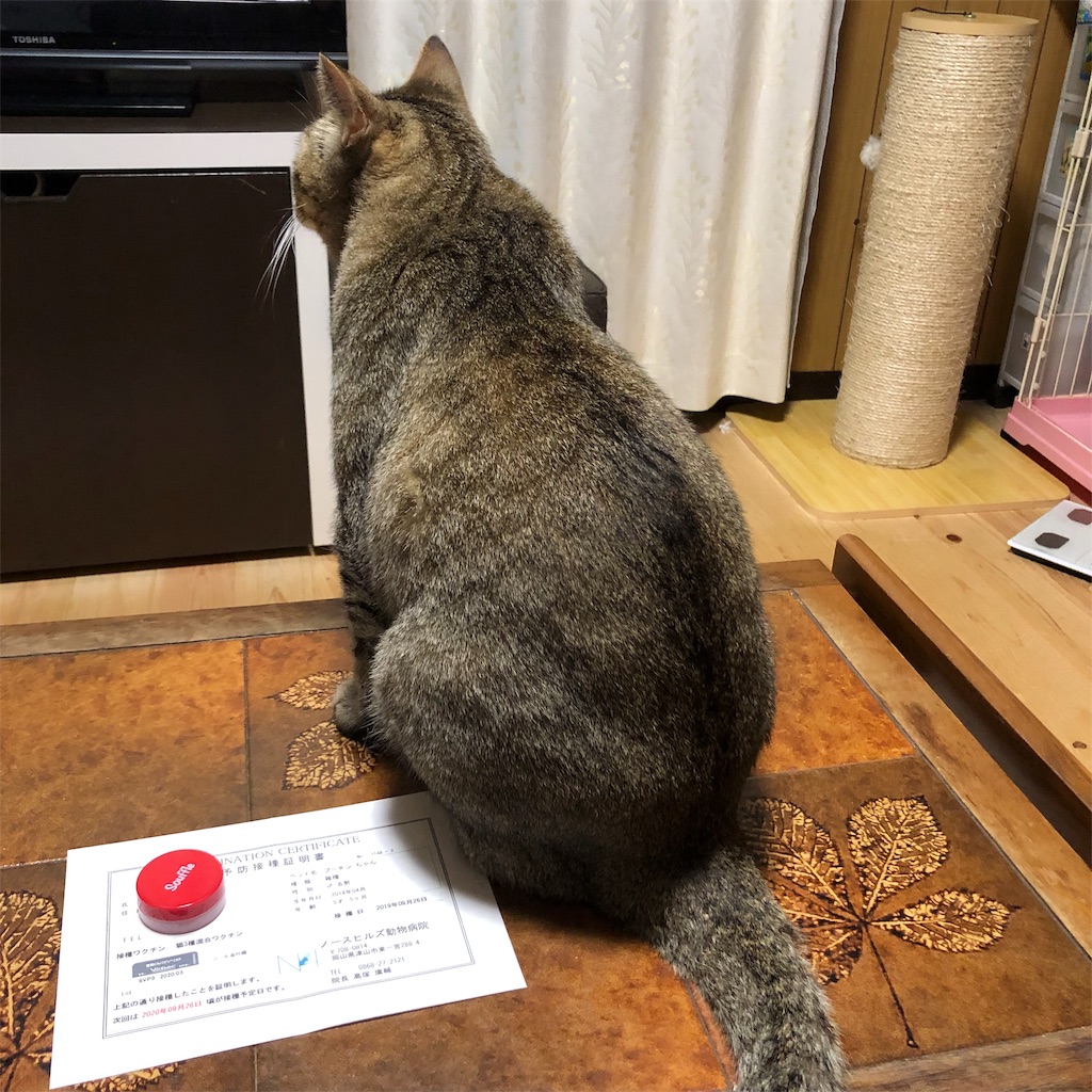 f:id:annesea:20190926225805j:image