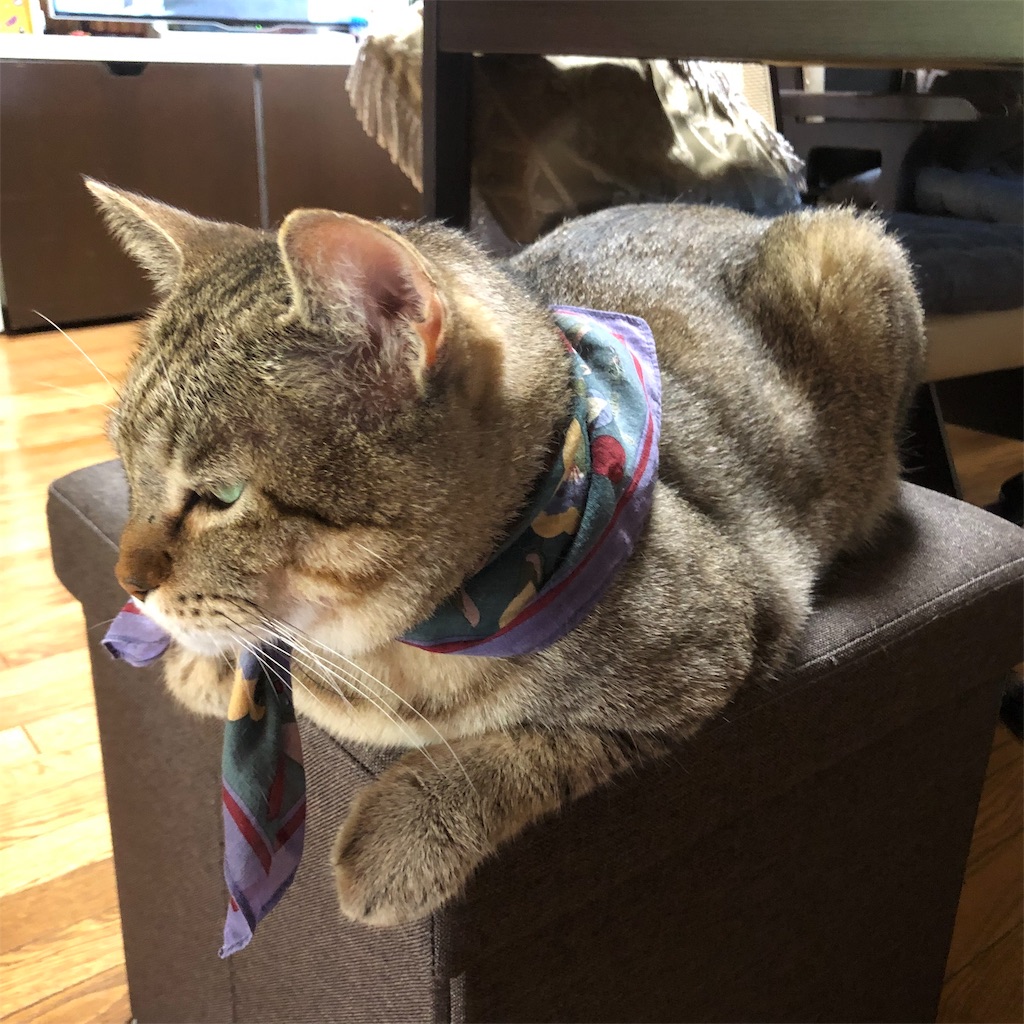 f:id:annesea:20190926225821j:image