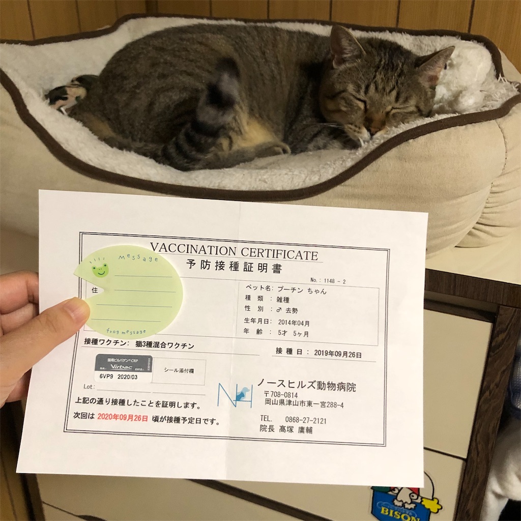 f:id:annesea:20190926225827j:image
