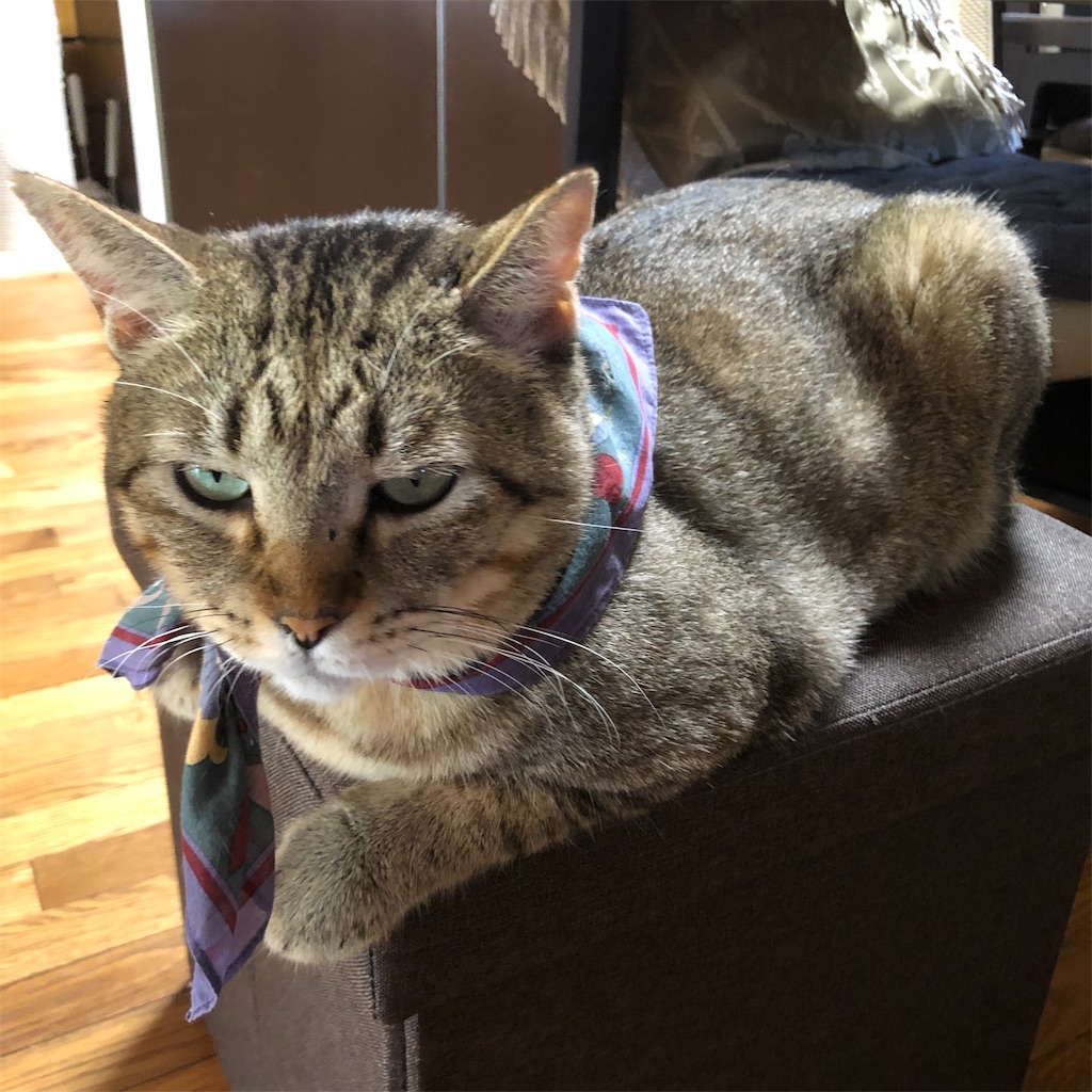 f:id:annesea:20190926225835j:image
