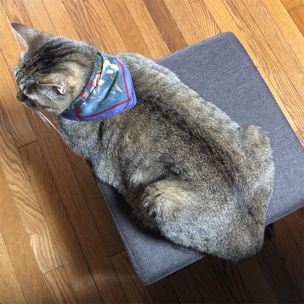 f:id:annesea:20190926225905j:image